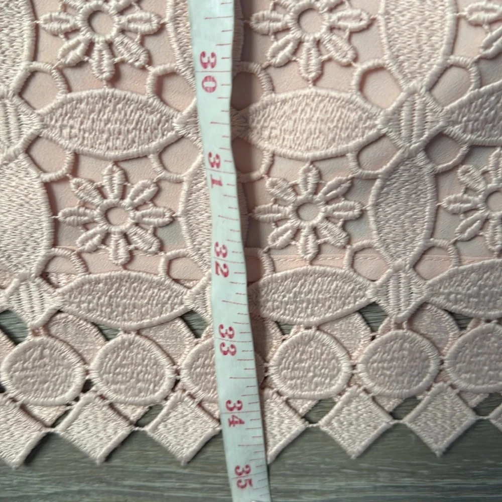 Sandro Paris Manureva Pink Lace Dress 6 - Picture 12 of 15